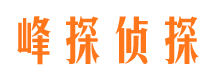 平顺市调查公司